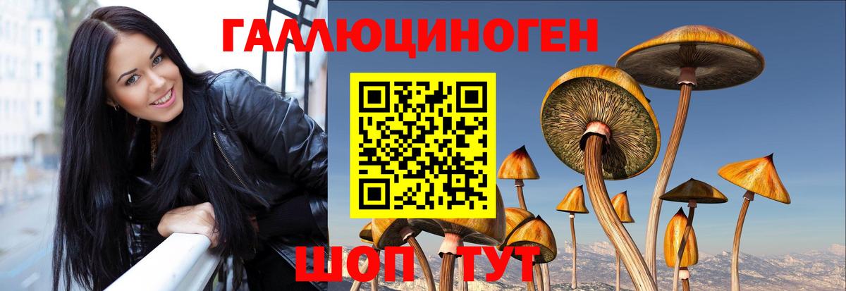 Галлюциногенные грибы Magic Shrooms  Вход с VPN  Псилоцибиновые грибы Psilocybe  Туймазы 